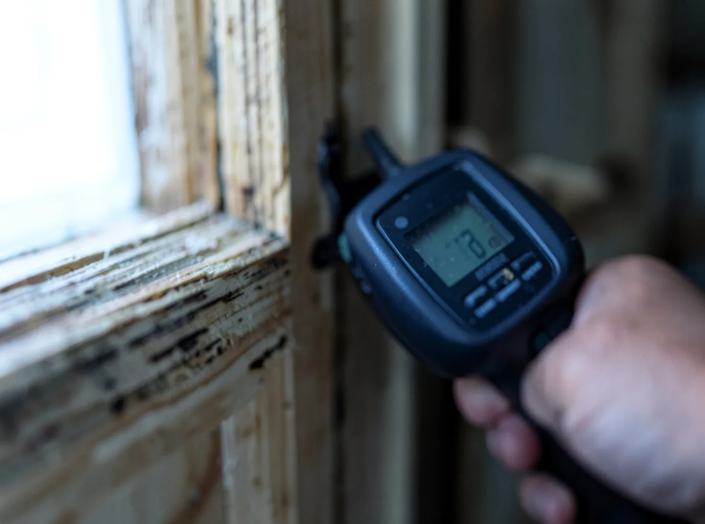 Moisture Inspection And Documentation in Richland, TX